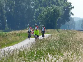 BIG Challenge 2025
© Big Challenge BIG Challenge 2025
© Big Challenge